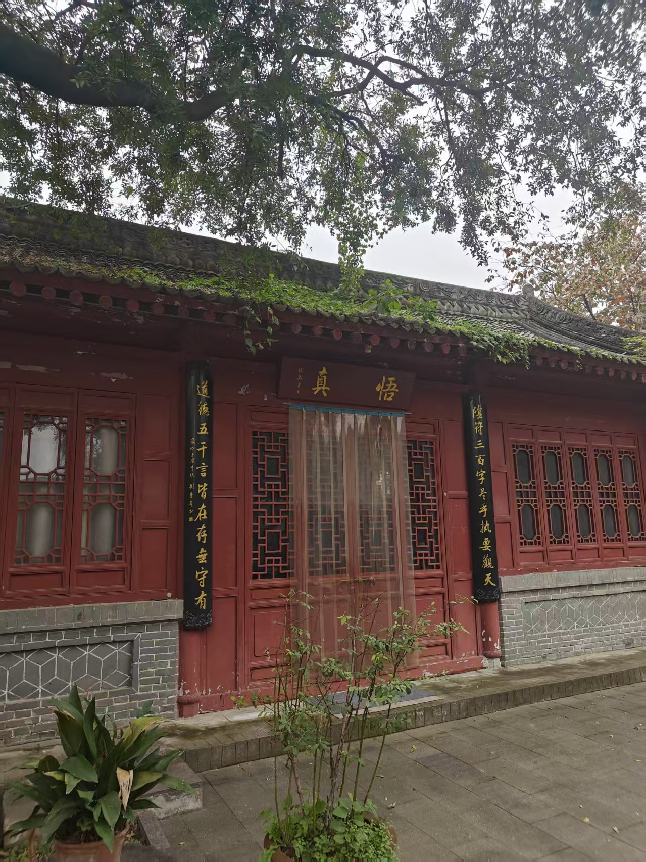 微信图片_20251021152518_13_6.jpg 微信图片_20251021152518_13_6.jpg